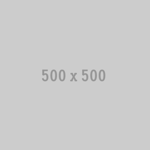 500x500